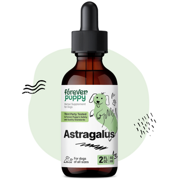 Astragalus Drops for Dogs - 2 fl.oz. Bottle
