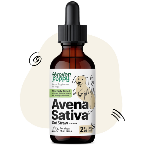 Avena Sativa Drops for Dogs - 2 fl.oz. Bottle