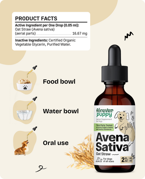 Avena Sativa Drops for Dogs - 2 fl.oz. Bottle