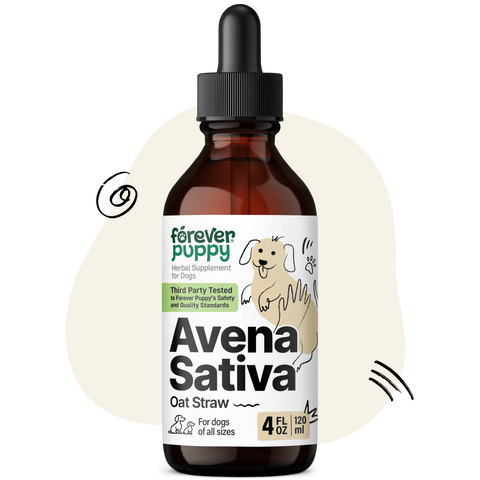 Avena Sativa Drops for Dogs - 4 fl.oz. Bottle