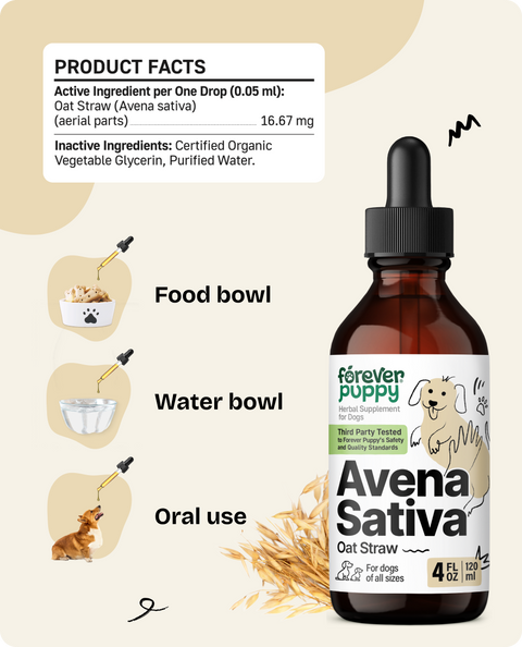 Avena Sativa Drops for Dogs - 4 fl.oz. Bottle