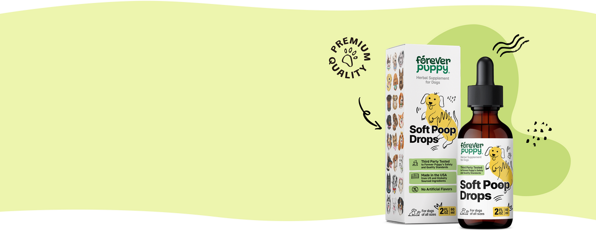 Aid your pup's digestion with soothing drops 