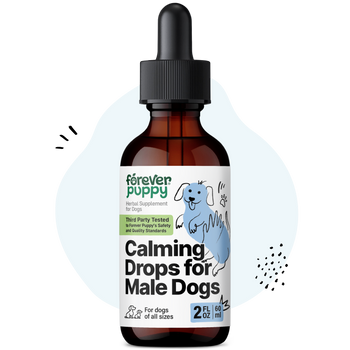 Calming Drops for Male Dogs - 2 fl.oz. Bottle