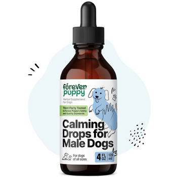 Calming Drops for Male Dogs - 4 fl.oz. Bottle