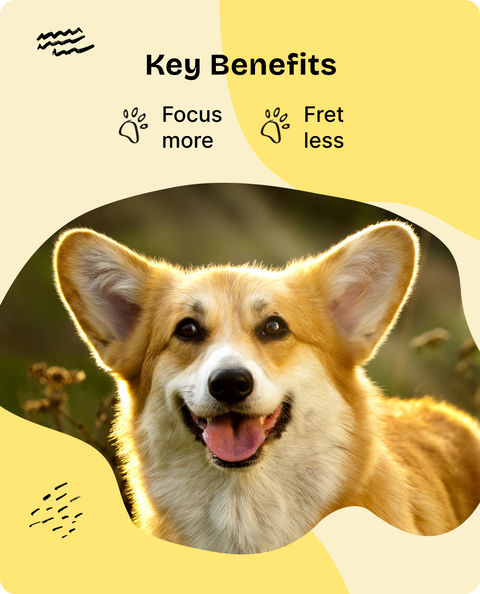 Dog Treats for Training & Fun - 90 g