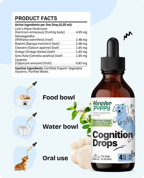 Cognition Drops for Dogs - 4 fl.oz. Bottle