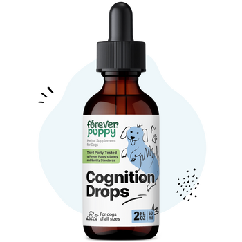 Cognition Drops for Dogs - 2 fl.oz. Bottle
