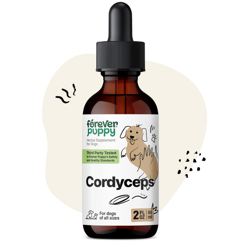 Cordyceps Drops for Dogs - 2 fl.oz. Bottle