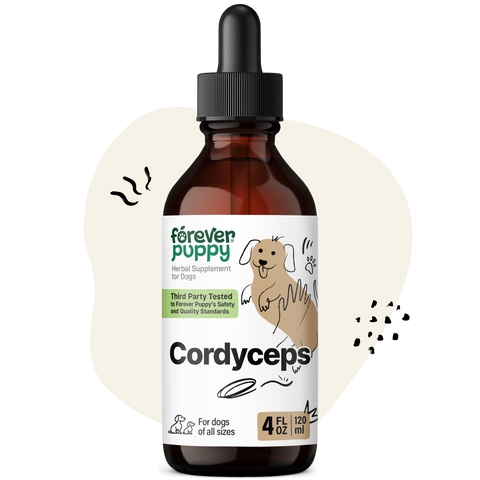 Cordyceps Drops for Dogs - 4 fl.oz. Bottle