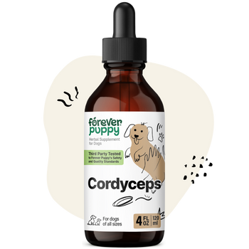 Cordyceps Drops for Dogs - 4 fl.oz. Bottle