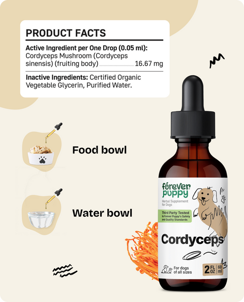 Cordyceps Drops for Dogs - 2 fl.oz. Bottle