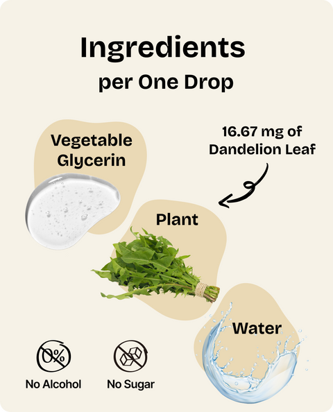 Dandelion Leaf Drops for Dogs - 2 fl.oz. Bottle