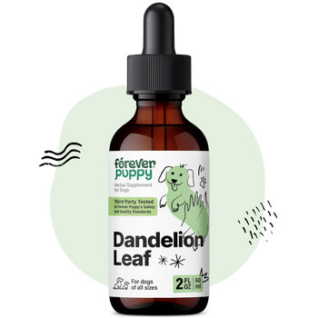 Dandelion Leaf Drops for Dogs - 2 fl.oz. Bottle
