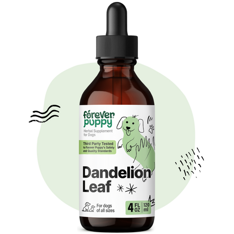 Dandelion Leaf Drops - 4 fl.oz. Bottle