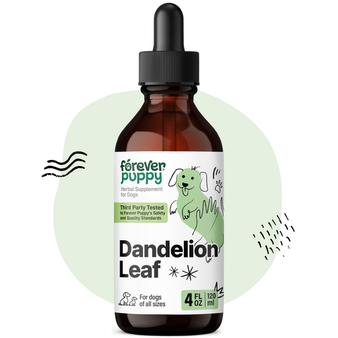Dandelion Leaf Drops for Dogs - 4 fl.oz. Bottle