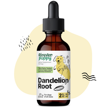 Dandelion Root Drops for Dogs - 2 fl.oz. Bottle