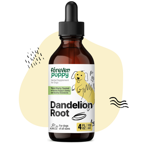 Dandelion Root Drops for Dogs - 4 fl.oz. Bottle