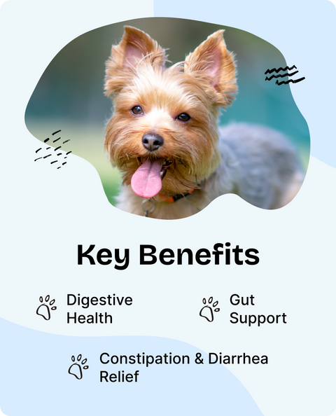 Digestion Support Drops for Dogs - 2 fl.oz. Bottle