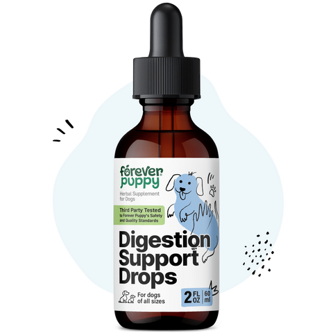 Digestion Support Drops for Dogs - 2 fl.oz. Bottle