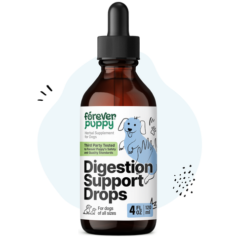 Digestion Support Drops for Dogs - 4 fl.oz. Bottle