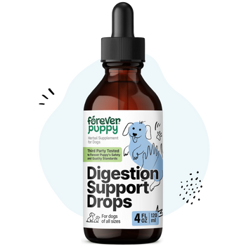 Digestion Support Drops for Dogs - 4 fl.oz. Bottle