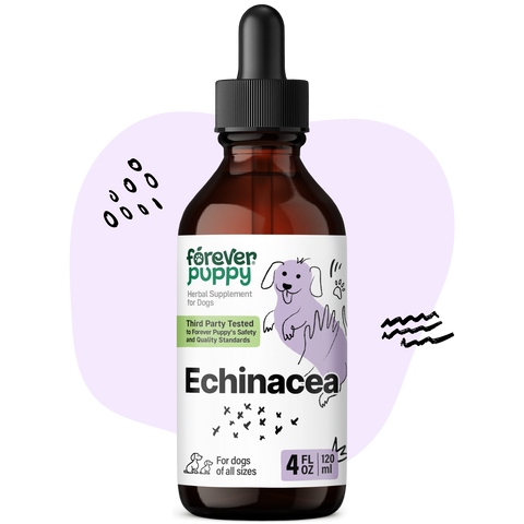 Echinacea Drops for Dogs - 4 fl.oz. Bottle