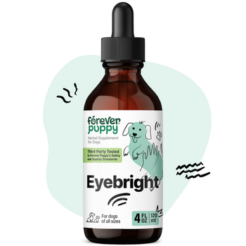 Eyebright Drops for Dogs - 4 fl.oz. Bottle