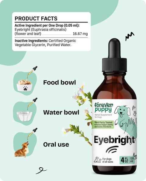 Eyebright Drops for Dogs - 4 fl.oz. Bottle