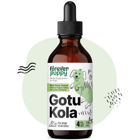 Gotu Kola Drops for Dogs - 4 fl.oz. Bottle