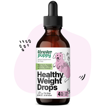 Healthy Weight Drops for Dogs - 4 fl.oz. Bottle