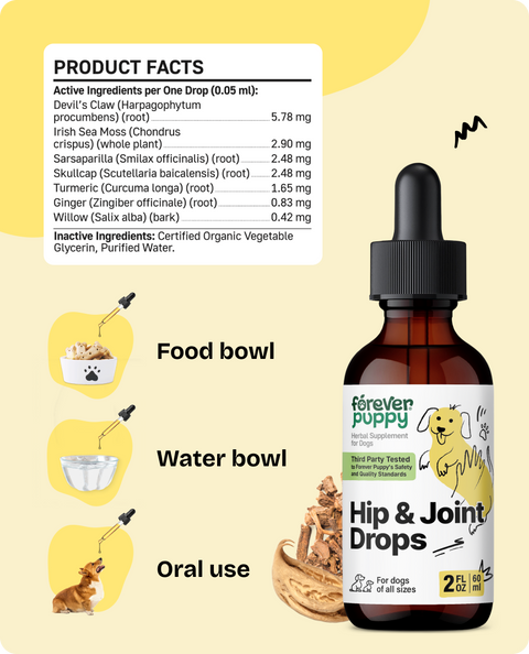 Hip & Joint Drops for Dogs - 2 fl.oz. Bottle