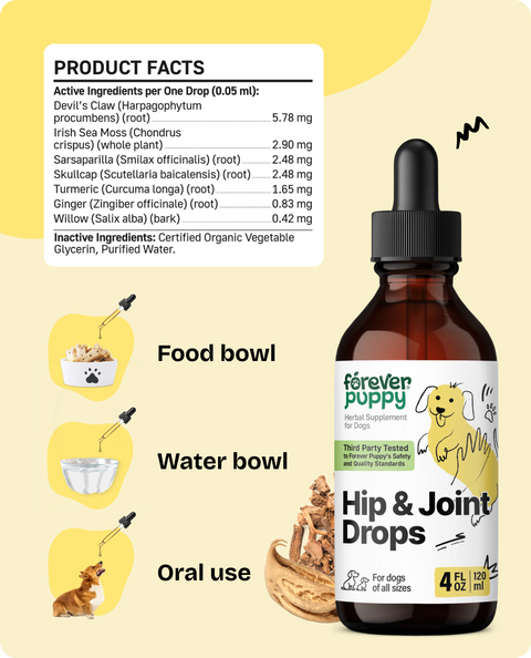Hip & Joint Drops for Dogs - 4 fl.oz. Bottle