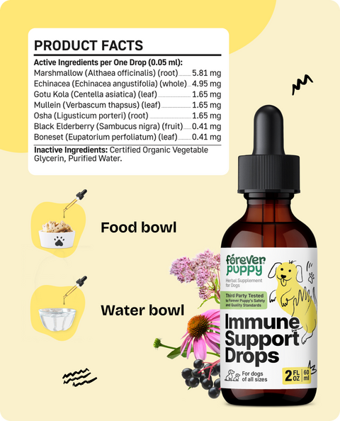 Immune Support Drops for Dogs - 2 fl.oz. Bottle