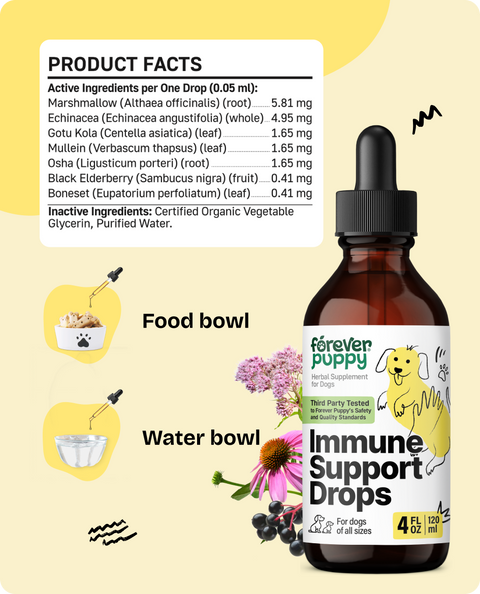 Immune Support Drops for Dogs - 4 fl.oz. Bottle