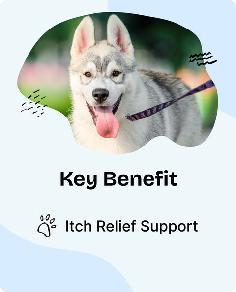 Itch Relief Drops for Dogs - 4 fl.oz. Bottle