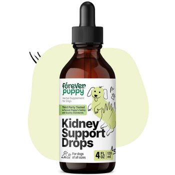 Kidney Support Drops for Dogs - 4 fl.oz. Bottle