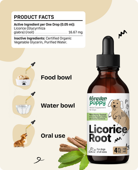 Licorice Root Drops for Dogs - 4 fl.oz. Bottle