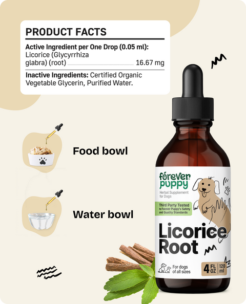 Licorice Root Drops for Dogs - 4 fl.oz. Bottle
