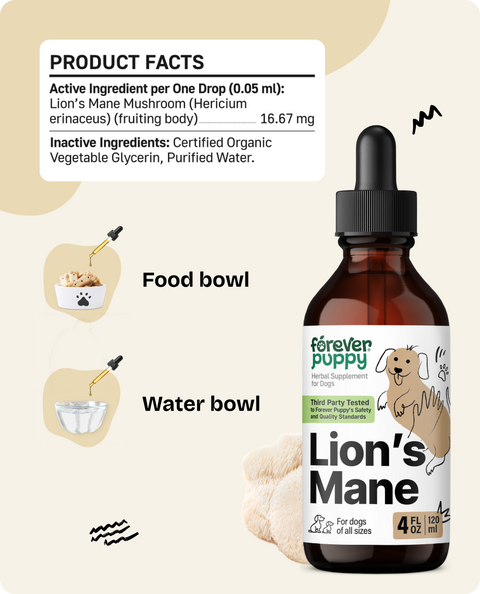 Lion’s Mane Drops for Dogs - 4 fl.oz. Bottle