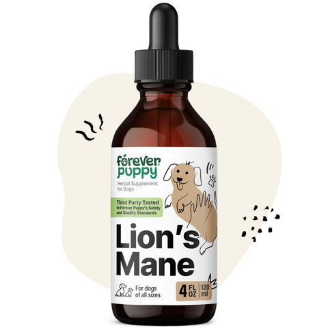 Lion’s Mane Drops for Dogs - 4 fl.oz. Bottle