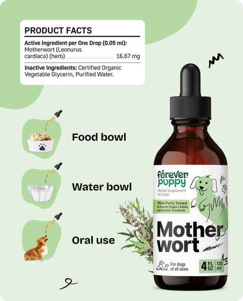 Motherwort Drops for Dogs - 4 fl.oz. Bottle
