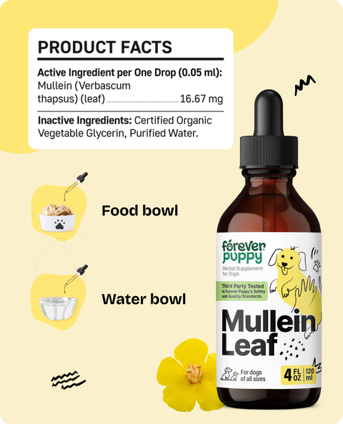 Mullein Leaf Drops for Dogs - 4 fl.oz. Bottle