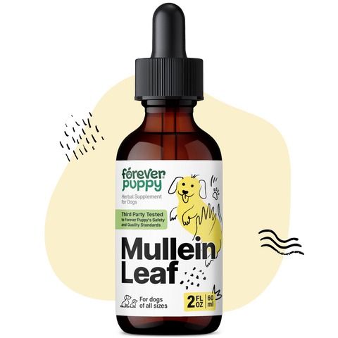 Mullein Leaf Drops for Dogs - 2 fl.oz. Bottle