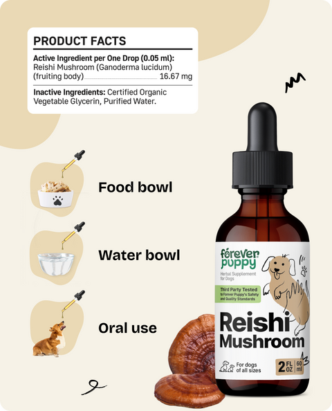 Reishi Mushroom Drops for Dogs - 2 fl.oz. Bottle