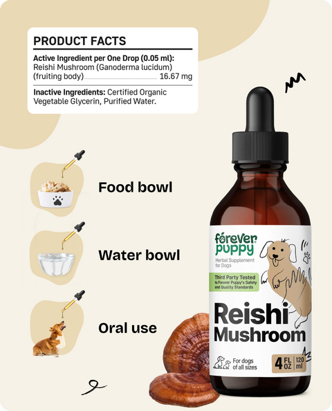 Reishi Mushroom Drops for Dogs - 4 fl.oz. Bottle