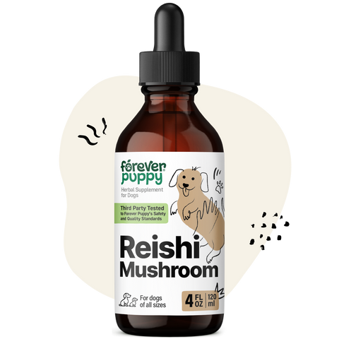 Reishi Mushroom Drops for Dogs - 4 fl.oz. Bottle