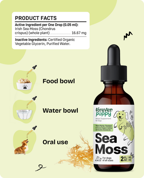 Sea Moss Drops for Dogs - 2 fl.oz. Bottle