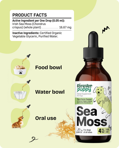 Sea Moss Drops for Dogs - 4 fl.oz. Bottle