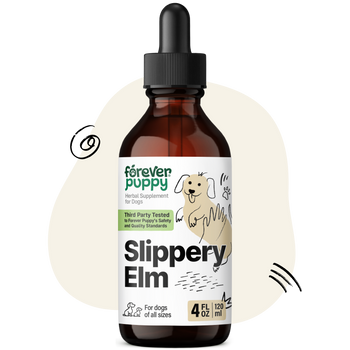 Slippery Elm Drops for Dogs - 4 fl.oz. Bottle