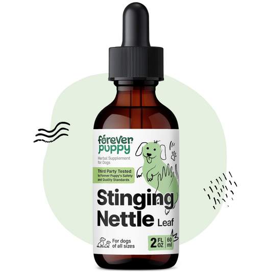 Stinging Nettle Leaf Drops - 2 fl.oz. Bottle